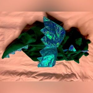 Halloween dragon dog costumes